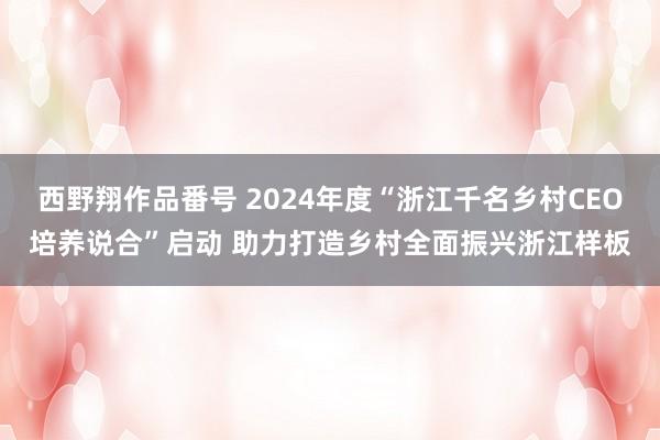 西野翔作品番号 2024年度“浙江千名乡村CEO培养说合”启动 助力打造乡村全面振兴浙江样板