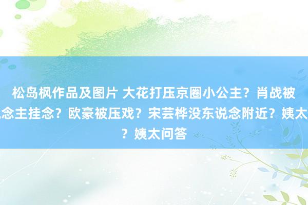 松岛枫作品及图片 大花打压京圈小公主？肖战被东说念主挂念？欧豪被压戏？宋芸桦没东说念附近？姨太问答