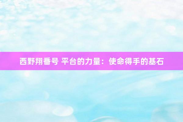 西野翔番号 平台的力量：使命得手的基石