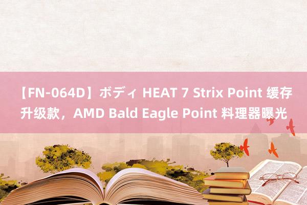 【FN-064D】ボディ HEAT 7 Strix Point 缓存升级款，AMD Bald Eagle Point 料理器曝光