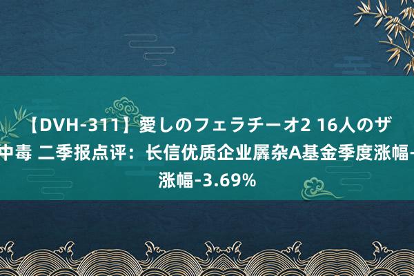 【DVH-311】愛しのフェラチーオ2 16人のザーメン中毒 二季报点评：长信优质企业羼杂A基金季度涨幅-3.69%