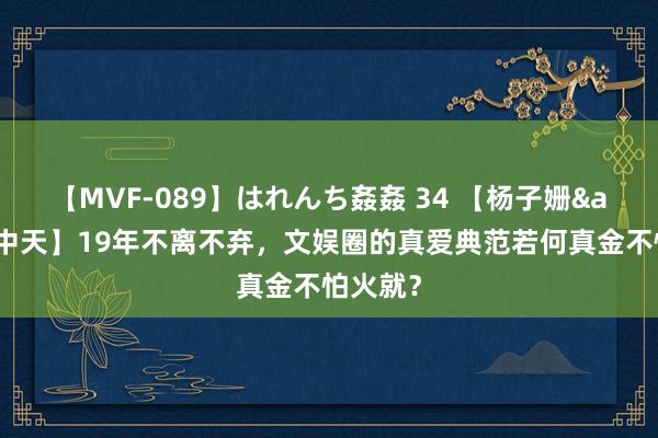 【MVF-089】はれんち姦姦 34 【杨子姗&吴中天】19年不离不弃，文娱圈的真爱典范若何真金不怕火就？