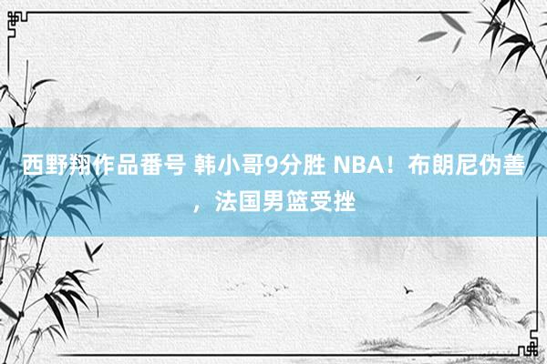 西野翔作品番号 韩小哥9分胜 NBA！布朗尼伪善，法国男篮受挫