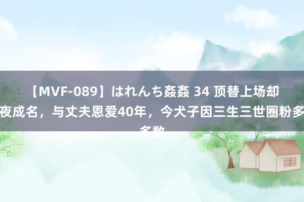 【MVF-089】はれんち姦姦 34 顶替上场却整夜成名，与丈夫恩爱40年，今犬子因三生三世圈粉多数