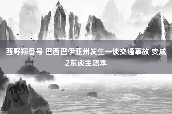 西野翔番号 巴西巴伊亚州发生一谈交通事故 变成2东谈主赔本