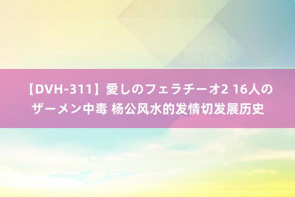 【DVH-311】愛しのフェラチーオ2 16人のザーメン中毒 杨公风水的发情切发展历史