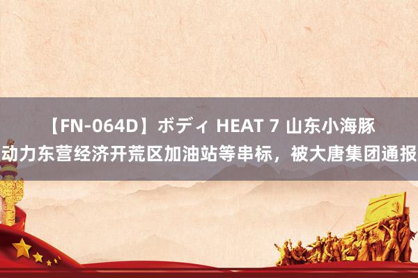 【FN-064D】ボディ HEAT 7 山东小海豚动力东营经济开荒区加油站等串标，被大唐集团通报