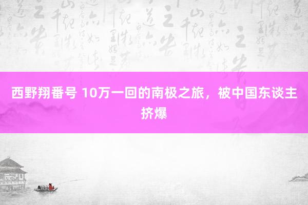 西野翔番号 10万一回的南极之旅，被中国东谈主挤爆