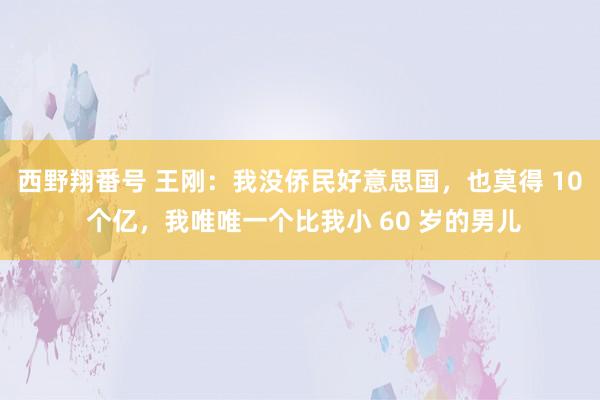 西野翔番号 王刚：我没侨民好意思国，也莫得 10 个亿，我唯唯一个比我小 60 岁的男儿