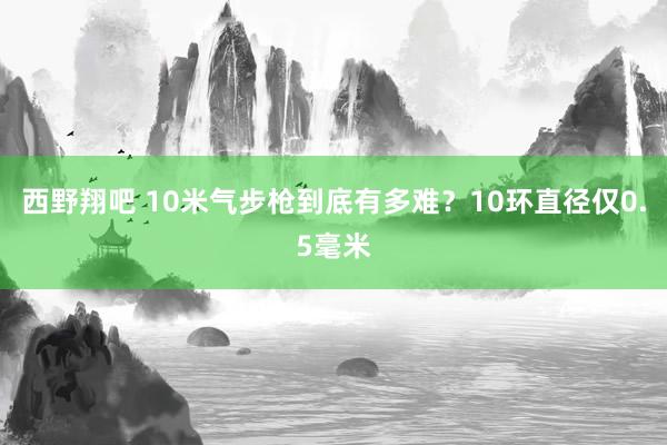 西野翔吧 10米气步枪到底有多难？10环直径仅0.5毫米