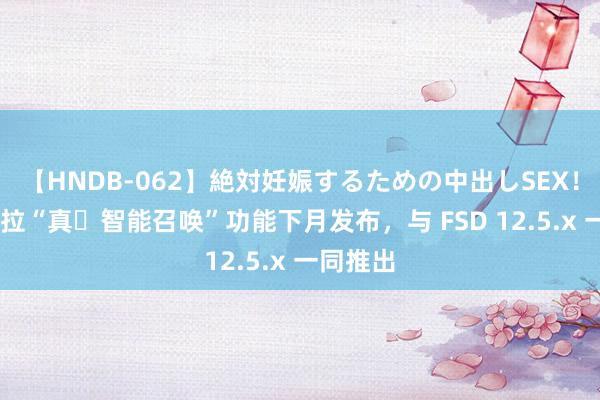 【HNDB-062】絶対妊娠するための中出しSEX！！ 特斯拉“真・智能召唤”功能下月发布，与 FSD 12.5.x 一同推出