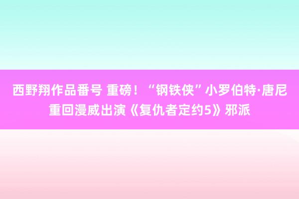 西野翔作品番号 重磅！“钢铁侠”小罗伯特·唐尼重回漫威出演《复仇者定约5》邪派