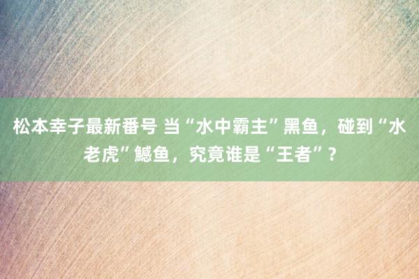 松本幸子最新番号 当“水中霸主”黑鱼，碰到“水老虎”鱤鱼，究竟谁是“王者”？