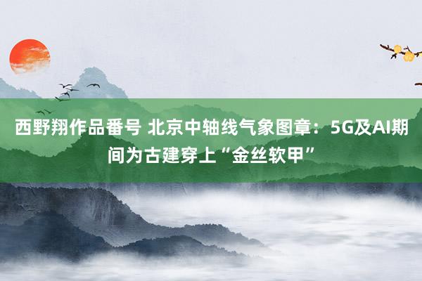 西野翔作品番号 北京中轴线气象图章：5G及AI期间为古建穿上“金丝软甲”