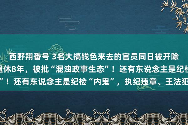 西野翔番号 3名大搞钱色来去的官员同日被开除党籍！有东说念主已退休8年，被批“混浊政事生态”！还有东说念主是纪检“内鬼”，执纪违章、王法犯法