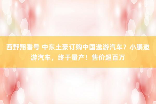 西野翔番号 中东土豪订购中国遨游汽车？小鹏遨游汽车，终于量产！售价超百万