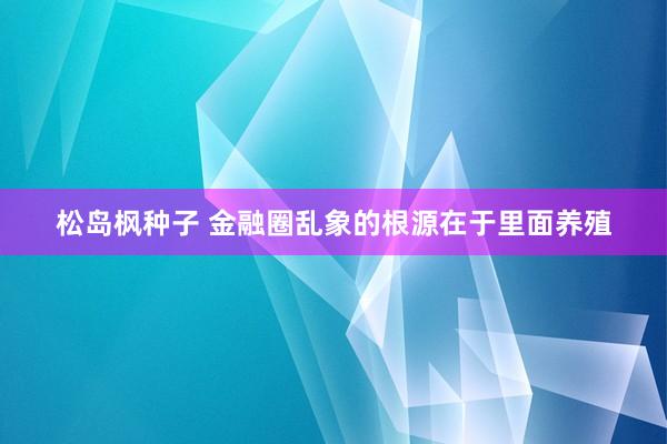 松岛枫种子 金融圈乱象的根源在于里面养殖