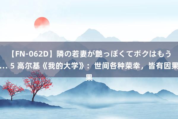 【FN-062D】隣の若妻が艶っぽくてボクはもう… 5 高尔基《我的大学》：世间各种荣幸，皆有因果