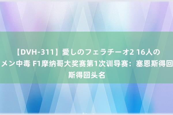 【DVH-311】愛しのフェラチーオ2 16人のザーメン中毒 F1摩纳哥大奖赛第1次训导赛：塞恩斯得回头名