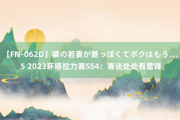 【FN-062D】隣の若妻が艶っぽくてボクはもう… 5 2023环塔拉力赛SS4：赛谈处处有雷锋