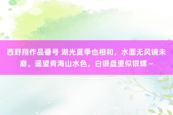 西野翔作品番号 湖光夏季也相和，水面无风镜未磨。遥望青海山水色，白银盘里似银螺～