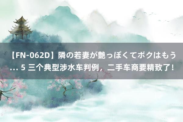 【FN-062D】隣の若妻が艶っぽくてボクはもう… 5 三个典型涉水车判例，二手车商要精致了！