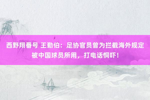 西野翔番号 王勤伯：足协官员曾为拦截海外规定被中国球员所用，打电话恫吓！