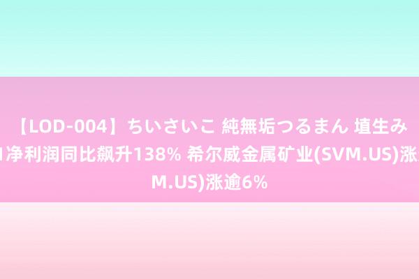 【LOD-004】ちいさいこ 純無垢つるまん 埴生みこ Q1净利润同比飙升138% 希尔威金属矿业(SVM.US)涨逾6%