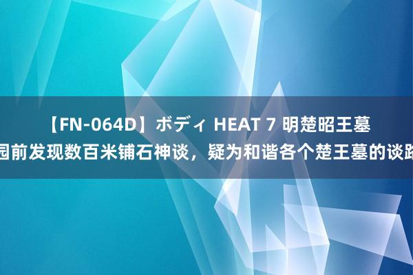 【FN-064D】ボディ HEAT 7 明楚昭王墓园前发现数百米铺石神谈，疑为和谐各个楚王墓的谈路