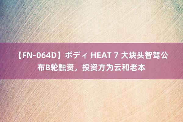 【FN-064D】ボディ HEAT 7 大块头智驾公布B轮融资，投资方为云和老本