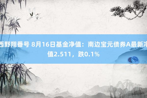 西野翔番号 8月16日基金净值：南边宝元债券A最新净值2.511，跌0.1%