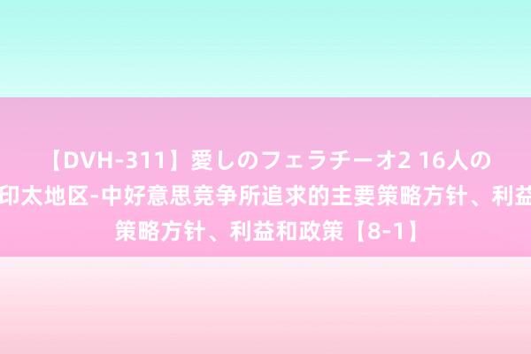 【DVH-311】愛しのフェラチーオ2 16人のザーメン中毒 印太地区-中好意思竞争所追求的主要策略方针、利益和政策【8-1】