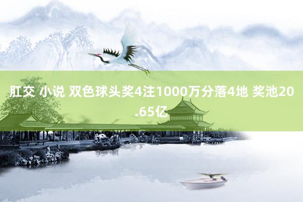 肛交 小说 双色球头奖4注1000万分落4地 奖池20.65亿