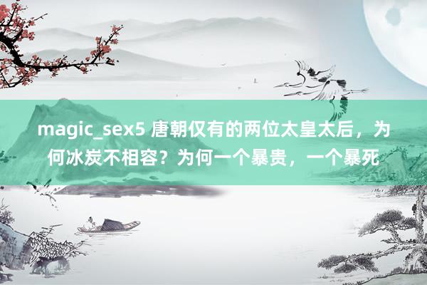 magic_sex5 唐朝仅有的两位太皇太后，为何冰炭不相容？为何一个暴贵，一个暴死