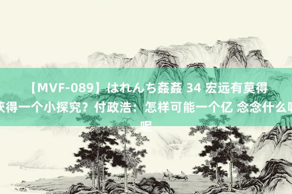 【MVF-089】はれんち姦姦 34 宏远有莫得获得一个小探究？付政浩：怎样可能一个亿 念念什么呢