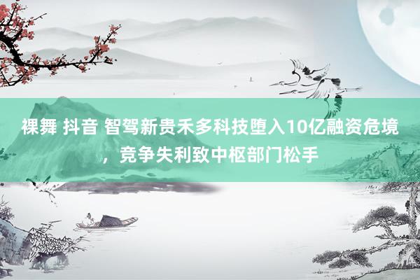 裸舞 抖音 智驾新贵禾多科技堕入10亿融资危境，竞争失利致中枢部门松手