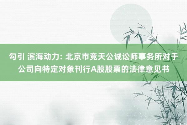 勾引 滨海动力: 北京市竞天公诚讼师事务所对于公司向特定对象刊行A股股票的法律意见书