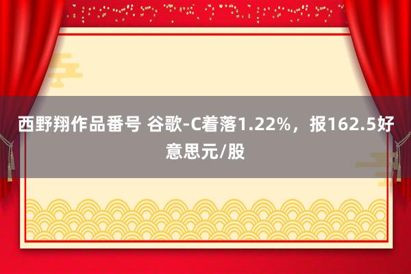 西野翔作品番号 谷歌-C着落1.22%，报162.5好意思元/股