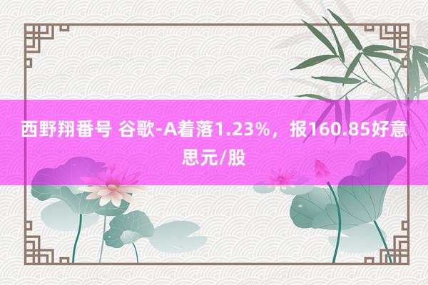 西野翔番号 谷歌-A着落1.23%，报160.85好意思元/股