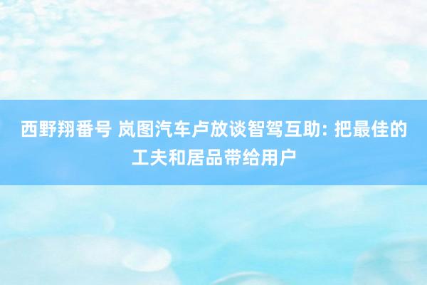 西野翔番号 岚图汽车卢放谈智驾互助: 把最佳的工夫和居品带给用户