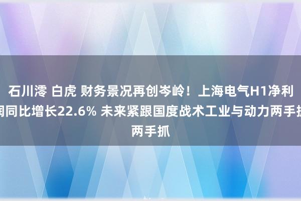 石川澪 白虎 财务景况再创岑岭！上海电气H1净利润同比增长22.6% 未来紧跟国度战术工业与动力两手抓