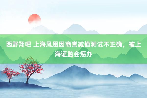 西野翔吧 上海凤凰因商誉减值测试不正确，被上海证监会惩办