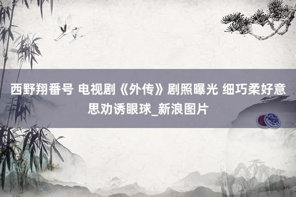 西野翔番号 电视剧《外传》剧照曝光 细巧柔好意思劝诱眼球_新浪图片