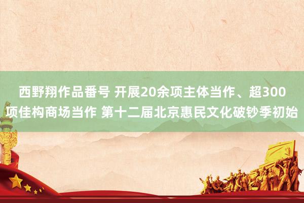 西野翔作品番号 开展20余项主体当作、超300项佳构商场当作 第十二届北京惠民文化破钞季初始