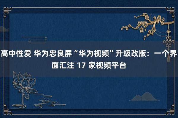 高中性爱 华为忠良屏“华为视频”升级改版：一个界面汇注 17 家视频平台