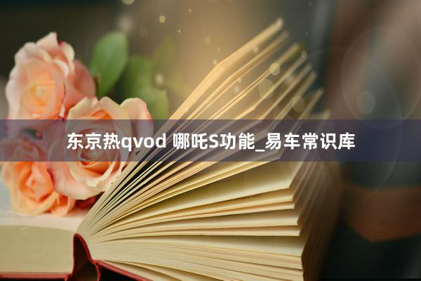 东京热qvod 哪吒S功能_易车常识库