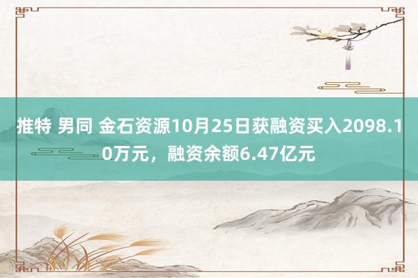 推特 男同 金石资源10月25日获融资买入2098.10万元，融资余额6.47亿元