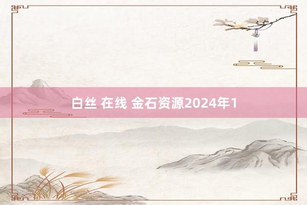 白丝 在线 金石资源2024年1